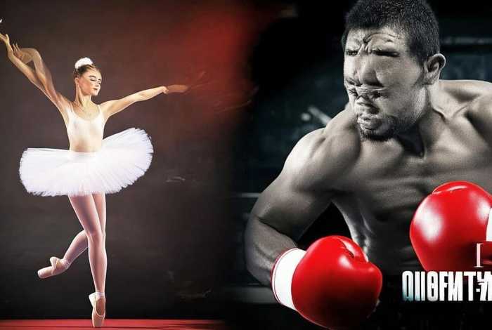 芭蕾舞小天鹅和拳击手的故事 芭蕾舞小天鹅和拳击手的故事作文