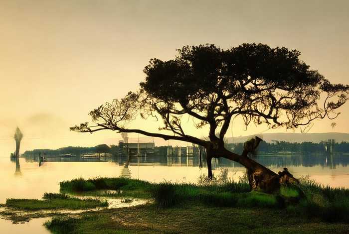 饼干的故事400字作文 饼干的故事400字作文四年级