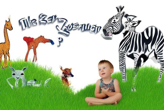 斑马的问题的儿童观 斑马的问题如何解读