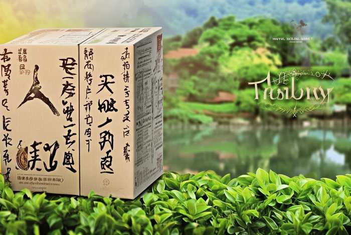 茶故事茶叶是什么品牌；茶故事茶叶是什么品牌上面还有英文