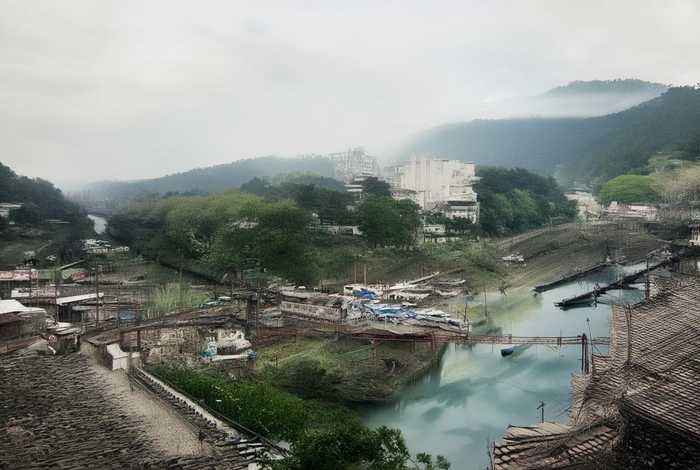 笨狼的故事上学主要内容（笨狼的故事上学主要内容50字）