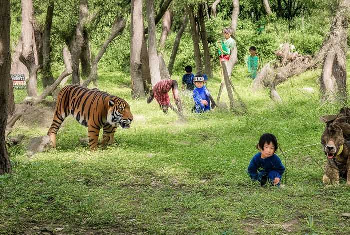调虎离山四川儿童出版社、调虎离山的出版年份