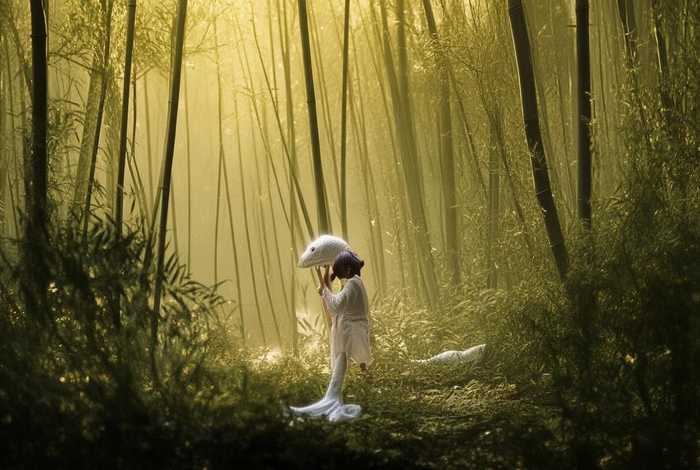 白蛇传儿童故事文本、白蛇传故事文章 白蛇传儿童故事文本、白蛇传故事文章