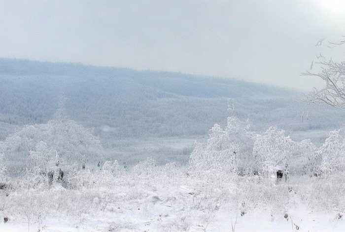 白色的童话;白色的童话王国 白色的童话;白色的童话王国