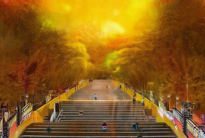 爱屋及乌成语故事的读后感，爱屋及乌成语故事的读后感50字