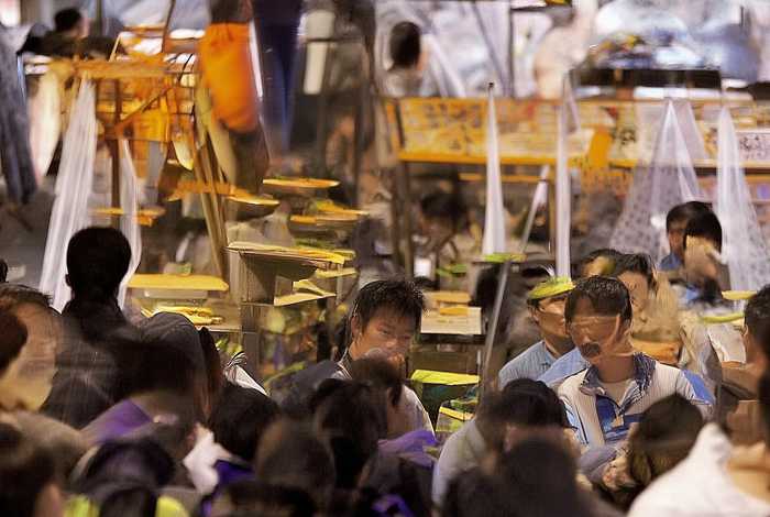 病毒的故事（病毒的小故事）