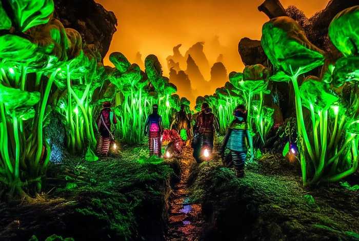 菠菜故事,菠菜故事探险 菠菜故事,菠菜故事探险