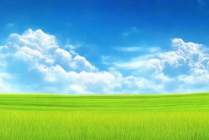 稻草人童话故事三年级 - 三年级稻草人的故事书内容