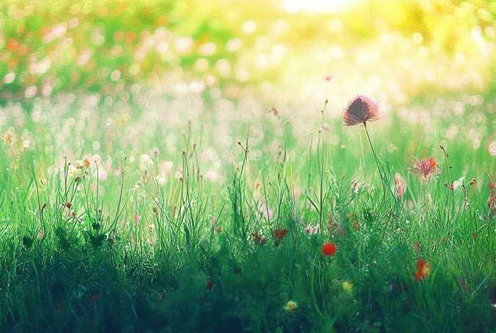 稻草人里皇帝的新衣的故事，稻草人《皇帝的新衣》的故事