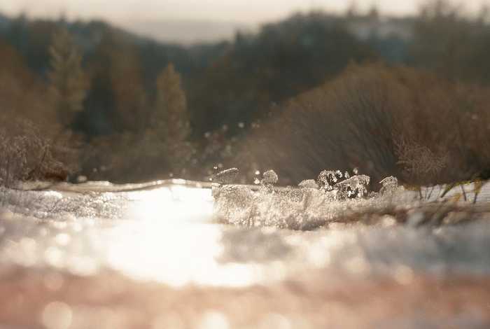 爱惜粮食的幼儿故事 - 爱惜粮食为主题的幼儿小故事
