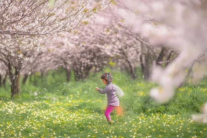 春娃娃诗原文(春娃娃诗原文好词好句) 春娃娃诗原文(春娃娃诗原文好词好句)