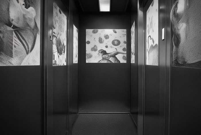 电梯小故事闪图（电梯小故事闪照图）