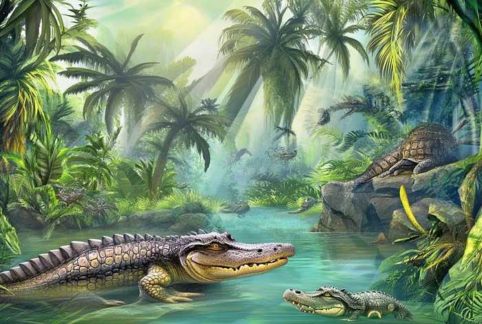 鳄鱼故事大全完整版、鳄鱼故事大全完整版免费听 鳄鱼故事大全完整版、鳄鱼故事大全完整版免费听