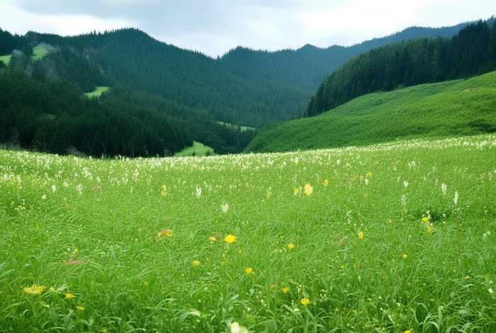 稻草人童话故事三年级 - 三年级稻草人的故事书内容