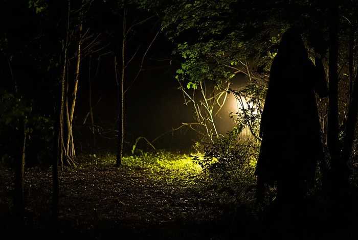 暗哨阅读理解答案 - 暗哨徐凤林阅读答案