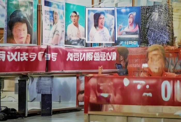 笨狮子续写故事 笨狮子续写故事400字