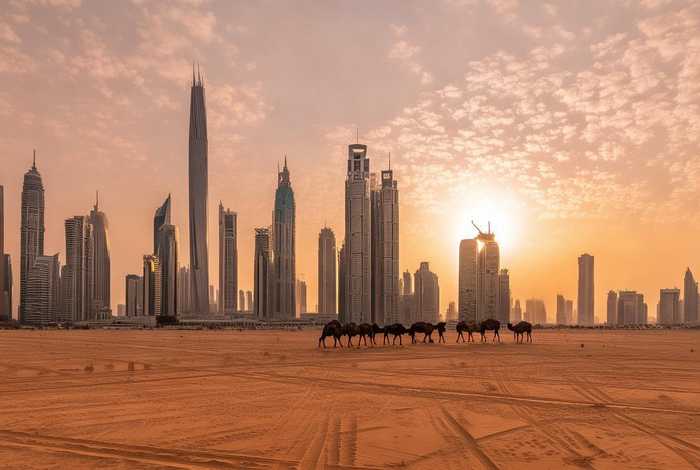 阿联酋的纪录片；关于阿联酋的纪录片