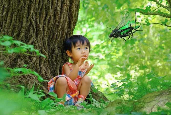 蝉的故事儿童版(蝉的小故事) 蝉的故事儿童版(蝉的小故事)