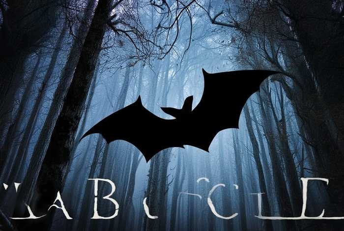 蝙蝠的故事阅读答案 读后感(蝙蝠的故事阅读答案 读后感20字) 蝙蝠的故事阅读答案 读后感(蝙蝠的故事阅读答案 读后感20字)