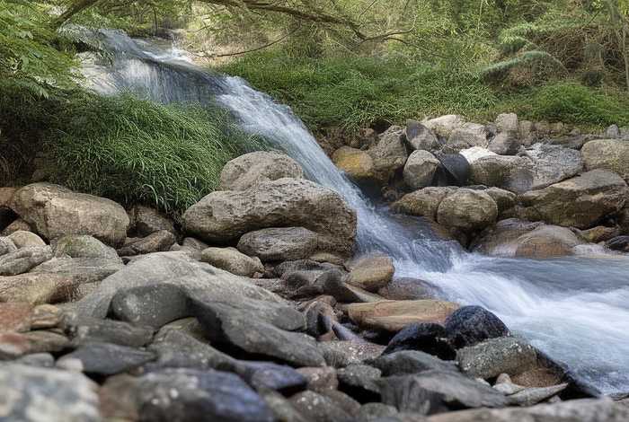 爱屋及乌的成语故事的感悟、爱屋及乌的成语故事的感悟20字