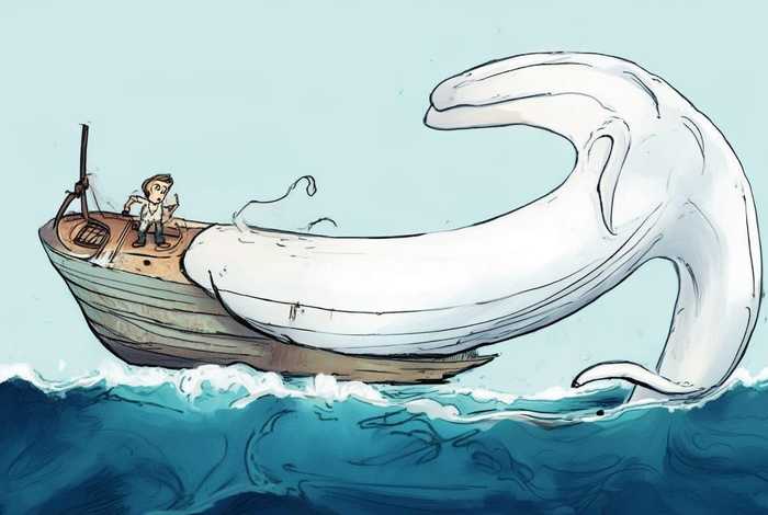 白鲸的故事儿童读物、白鲸的故事概况