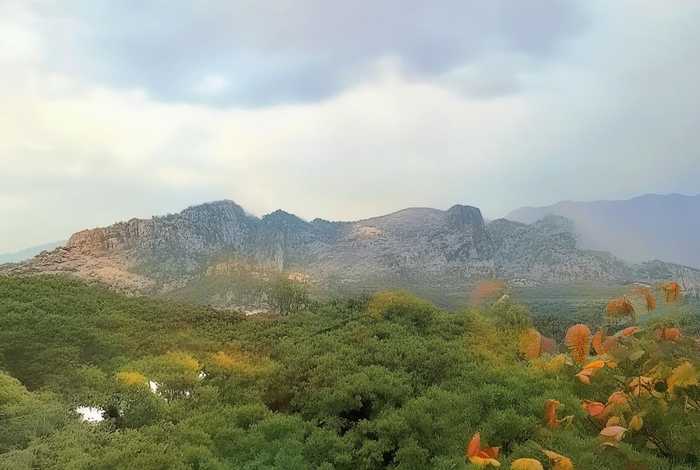 饼干的故事100字两岁的小朋友听，饼干的故事100字两岁的小朋友听写