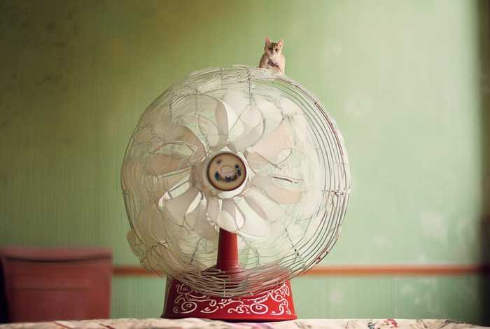 电风扇小故事;电风扇的小故事 电风扇小故事;电风扇的小故事