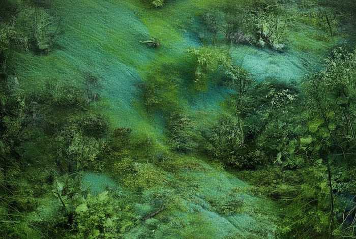 阿拉善蒙语故事会，阿拉善蒙古语