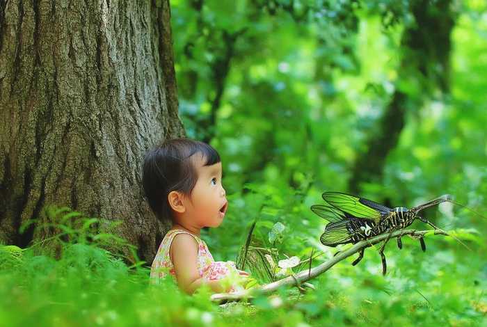 蝉的故事儿童版(蝉的小故事) 蝉的故事儿童版(蝉的小故事)