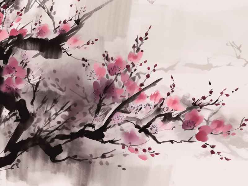 梅花故事图片 梅花故事图片素材