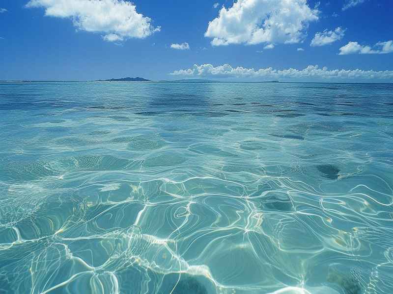 海的小故事 - 关于海的小故事50字