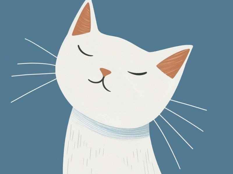 故事熊出没在线收听（熊出没故事在线收听mp3）