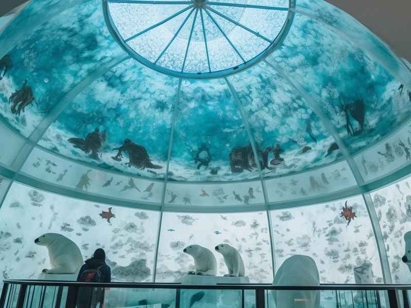 哈尔滨极地馆白鲸故事（哈尔滨极地馆白鲸表演背景音乐）