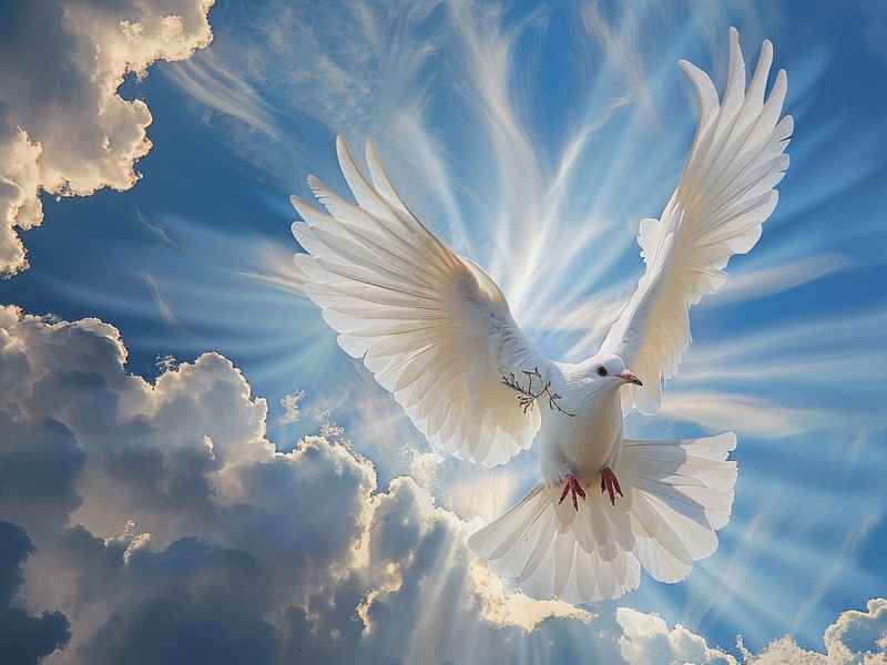 和平有关的故事；有关和平的历史故事