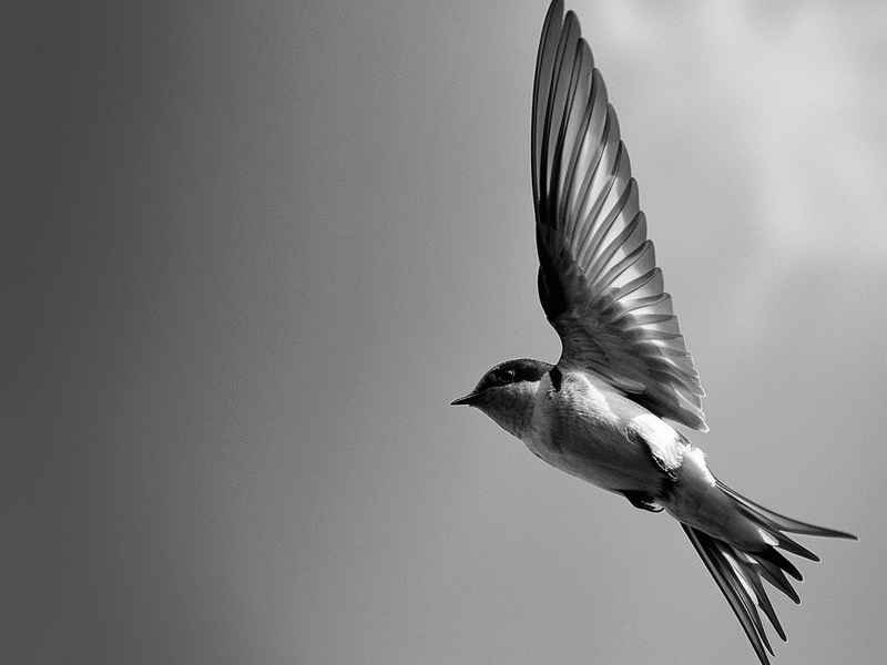 普飞的儿童故事 - 普飞飞的详细个人资料