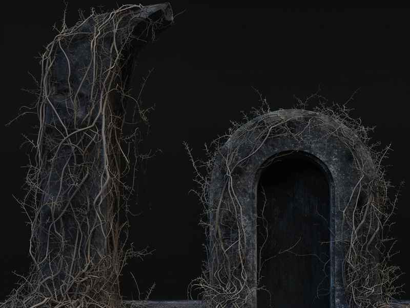 枯藤长啥样，枯藤长什么样