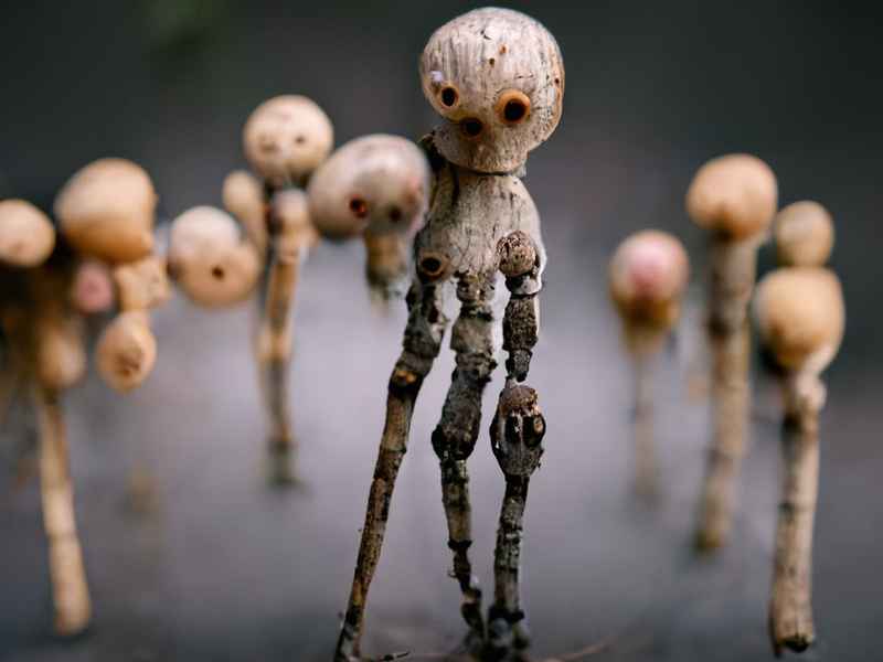 木头小孩真实故事 - 小孩木头人