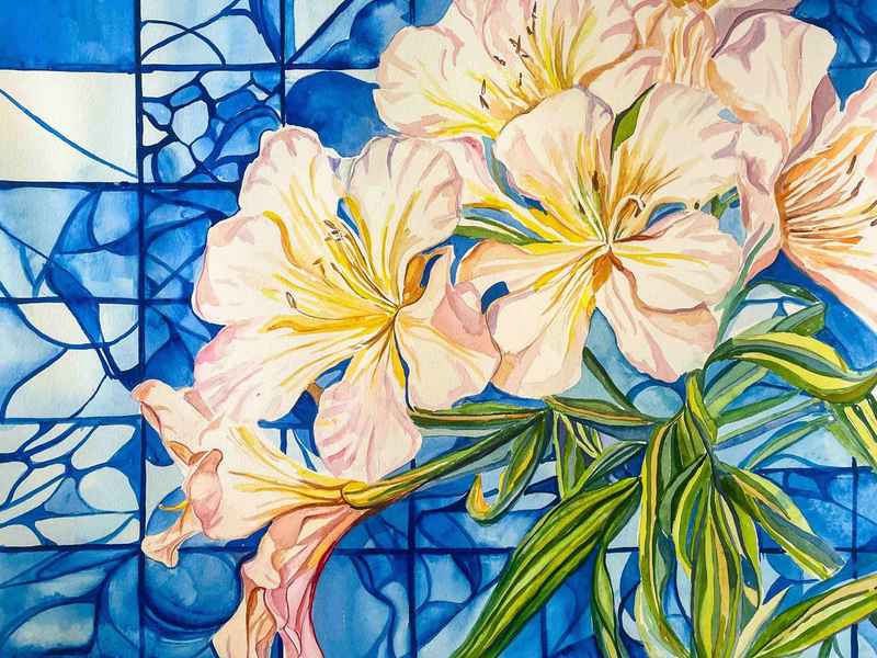 关于夹竹桃的故事（关于夹竹桃的故事50字）