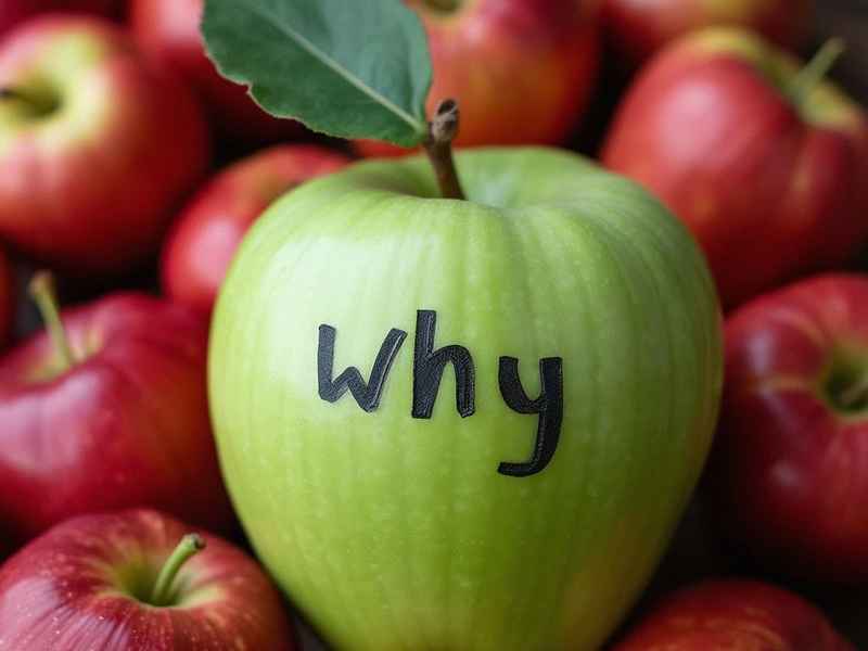 故事大纲是什么意思 - 故事大纲是什么意思怎么写