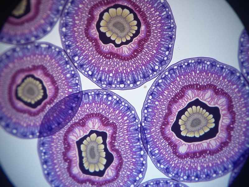 启蒙0-3岁故事（0-3岁宝宝启蒙故事）