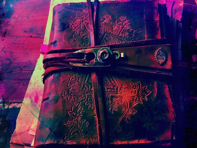 蒲公英的故事绘本；蒲公英绘本故事内容