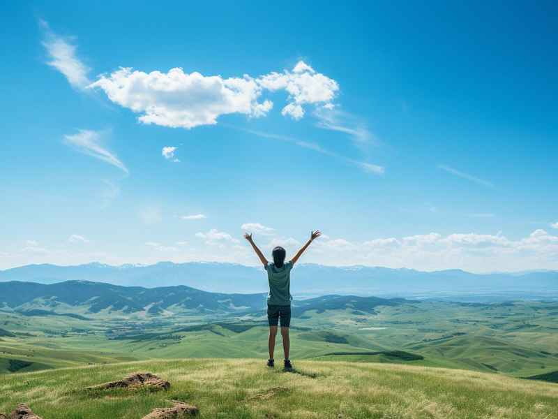 关于独立的作文800字(关于独立的作文800字简单) 关于独立的作文800字(关于独立的作文800字简单)