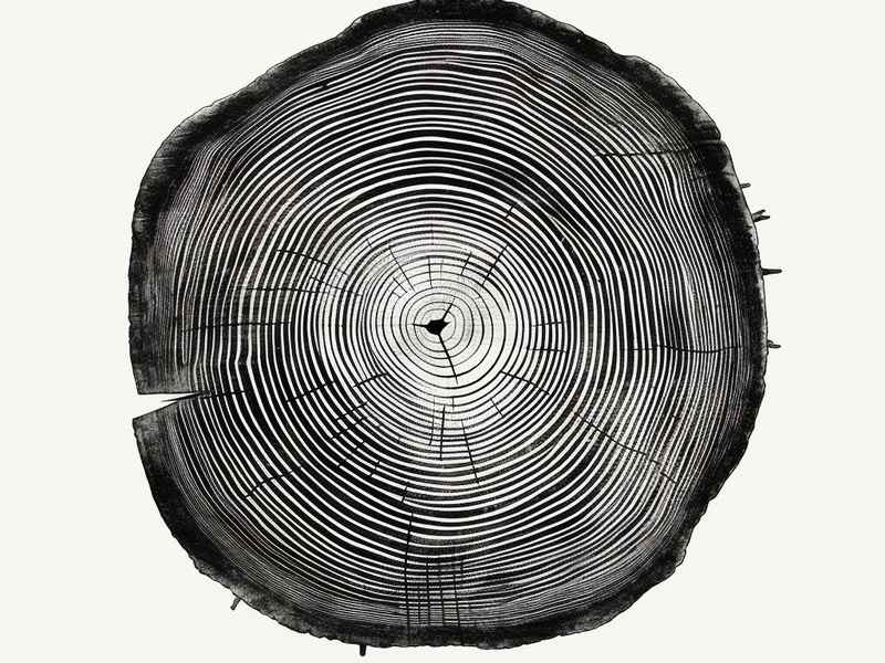 年轮小故事、年轮的故事绘本
