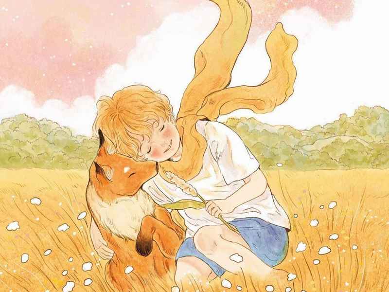 狐狸先生的轶事的一句话感想，狐狸先生的轶事的一句话感想和收获