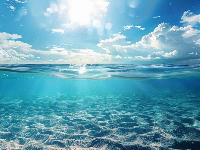 关于海的简短小故事，关于海的小故事50字