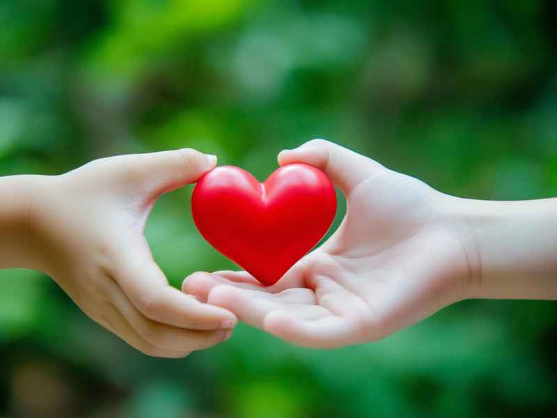 励志故事正能量小故事儿童朗诵 - 少儿励志小故事 正能量故事