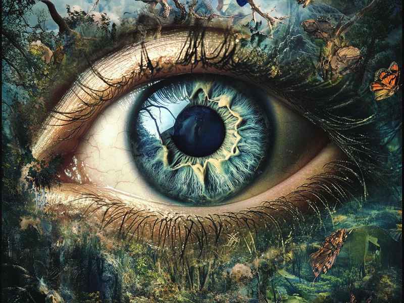 关于眼睛的故事有哪些、关于眼睛的故事有哪些作文