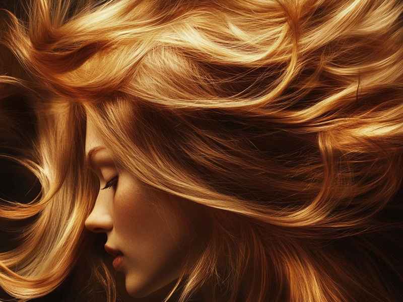 关于头发的故事幼儿；关于头发的故事幼儿版