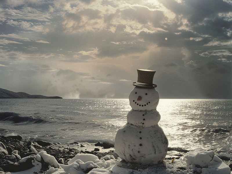金波雪人故事，金波雪人的故事告诉我们什么道理