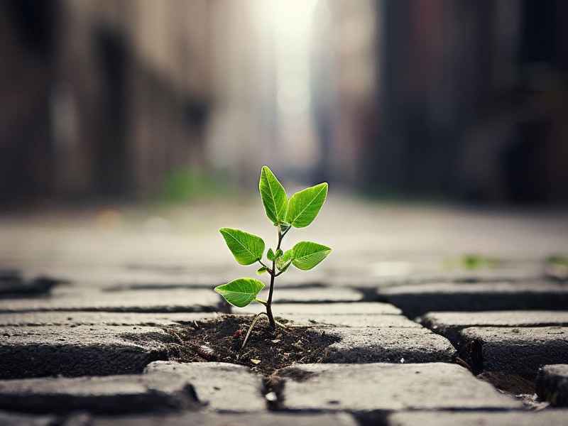 励志小故事大道理400字，励志小故事大道理400字怎么写